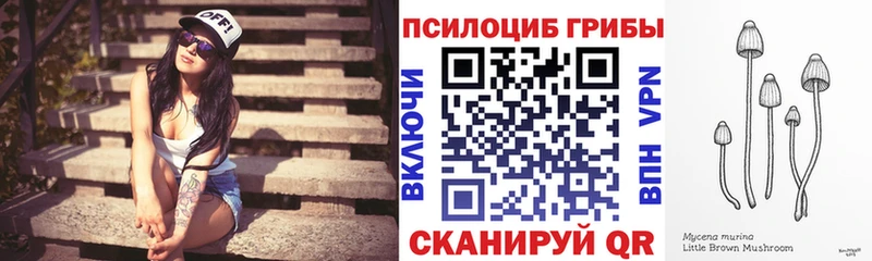 Галлюциногенные грибы GOLDEN TEACHER  как найти закладки  Городец 